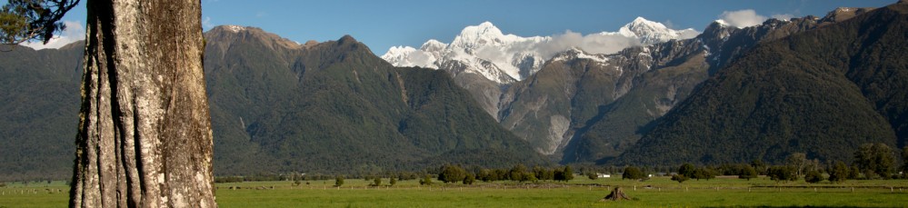 new zealand-photography