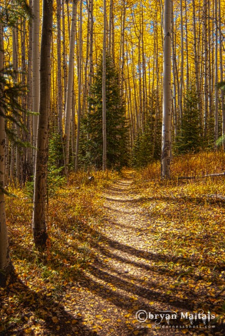 Aspen Path Colorado