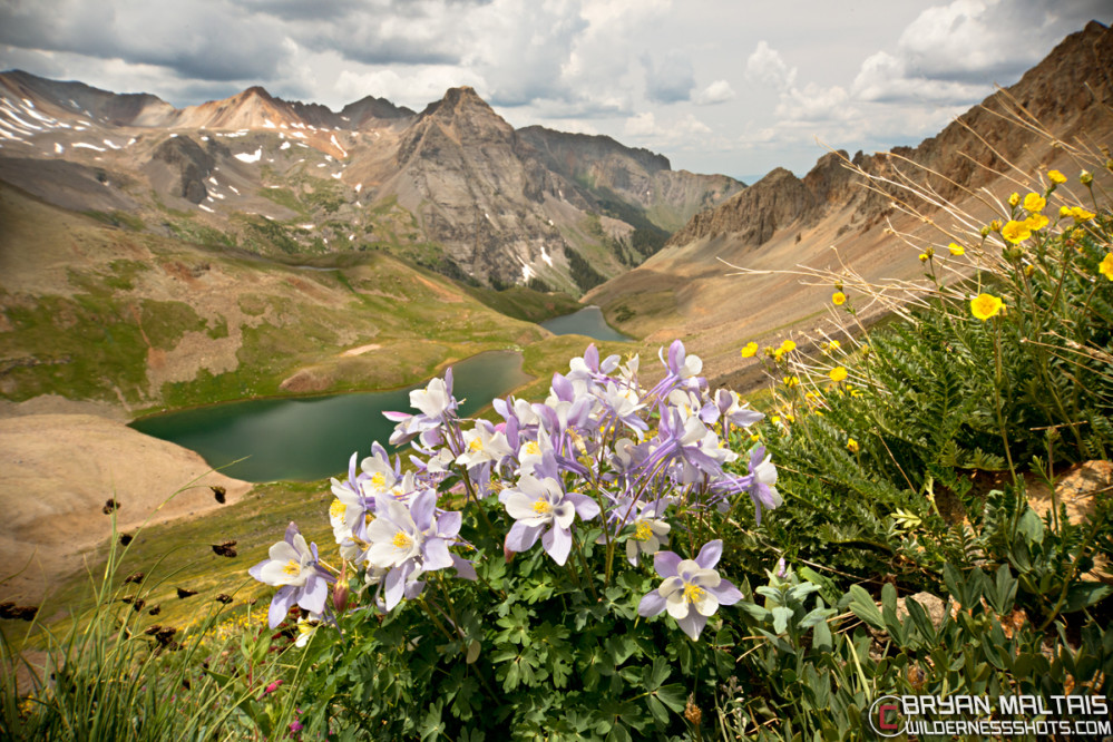 Blue-Lakes-Colorado-Columbine