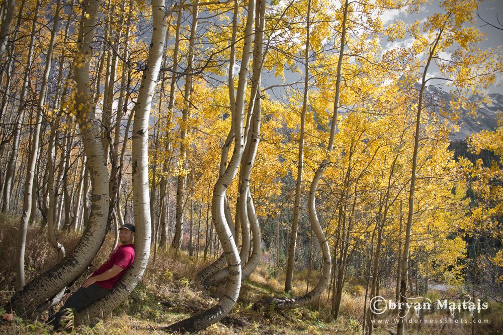 - Nature Photography Workshops and Colorado Photo Prints