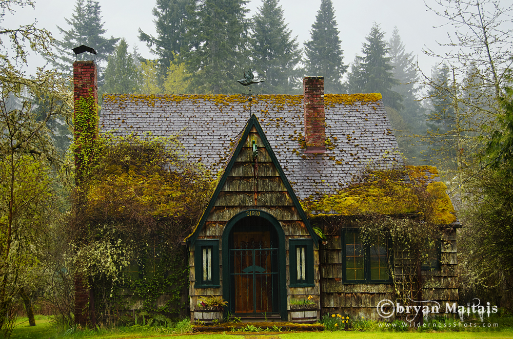 Rainier Hobbit House