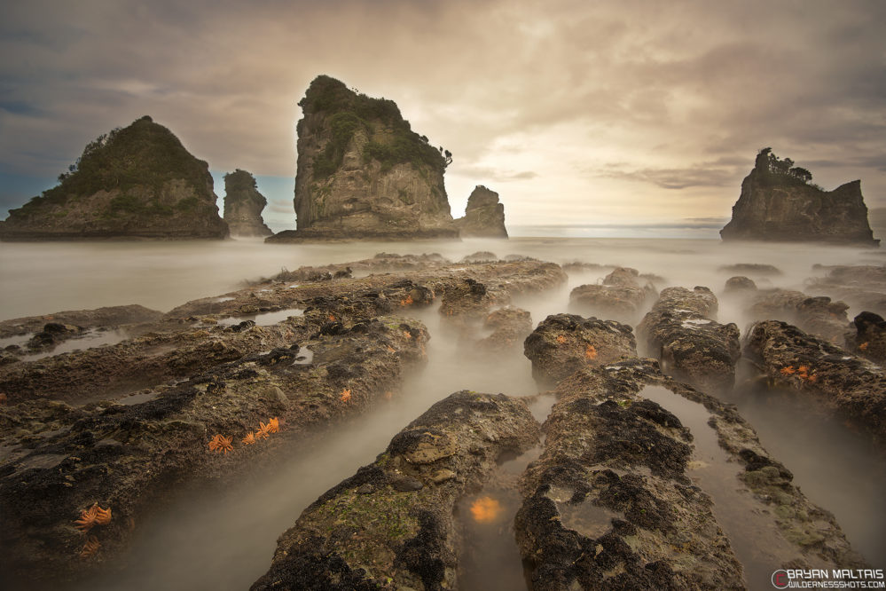 West Coast Beach, New Zealand