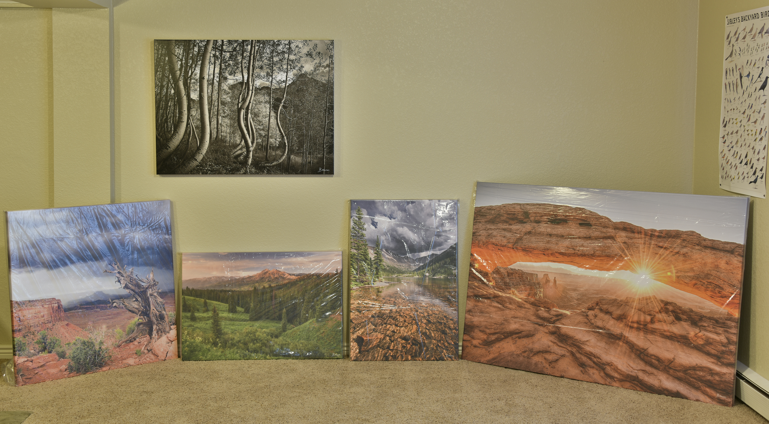 Order Colorado Landscape Photography Prints by Bryan Maltais