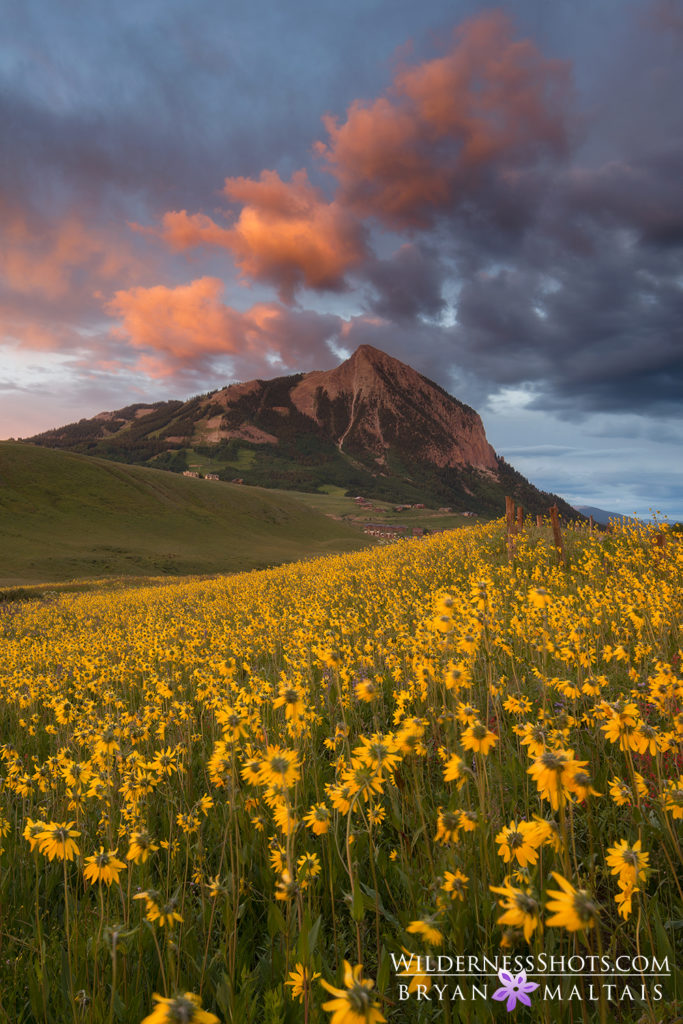 Mt. Crested Butte Summer Sunset