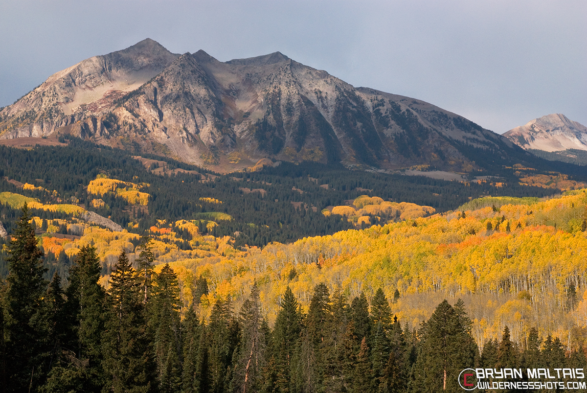 Kebler Pass Rd Photography Field Guide, Crested Butte, Colorado