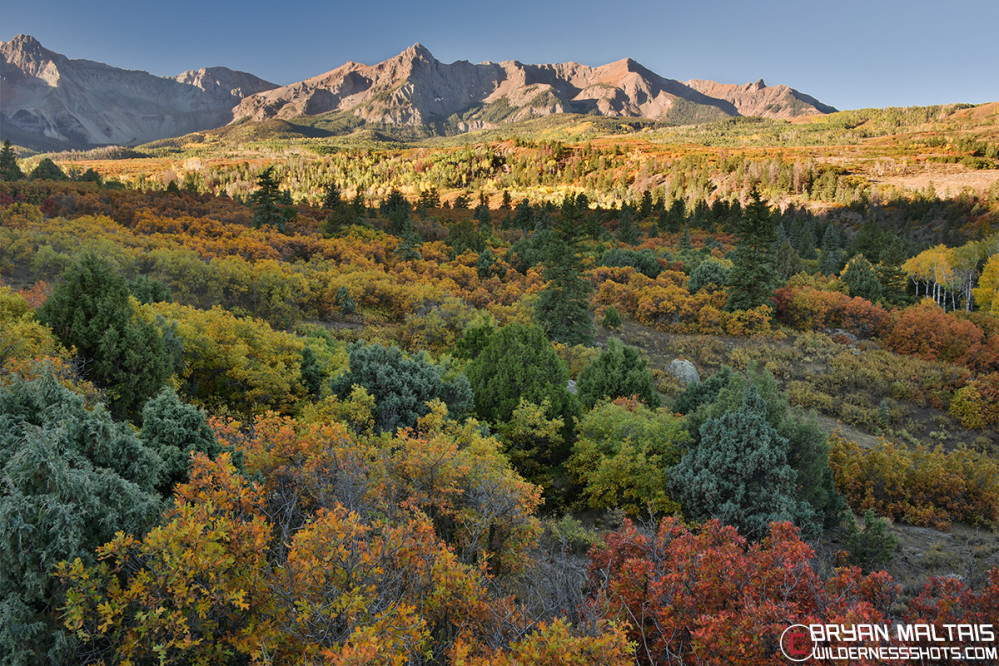 Dallas Divide Colorado Fall Colors