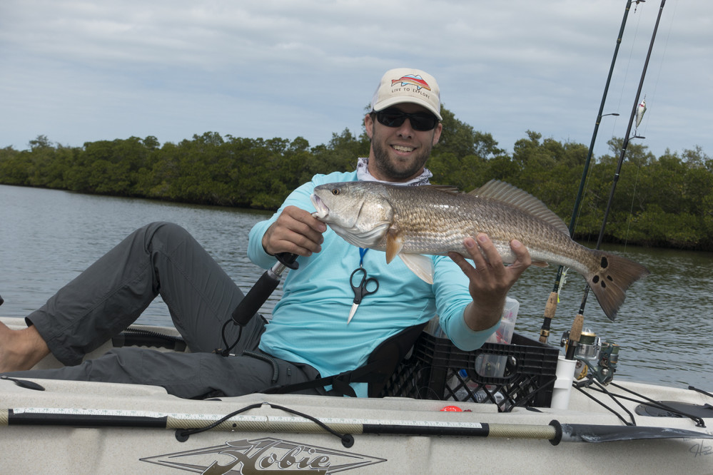 Red Drum Florida