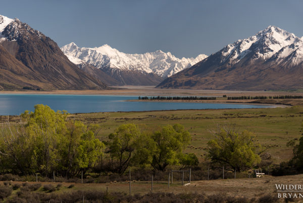 Panoramic Landscape