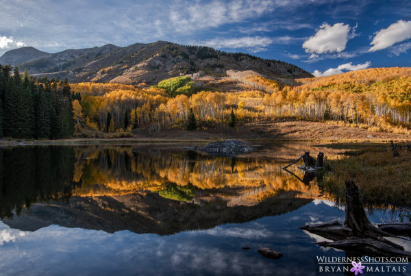 Crested Butte Photography