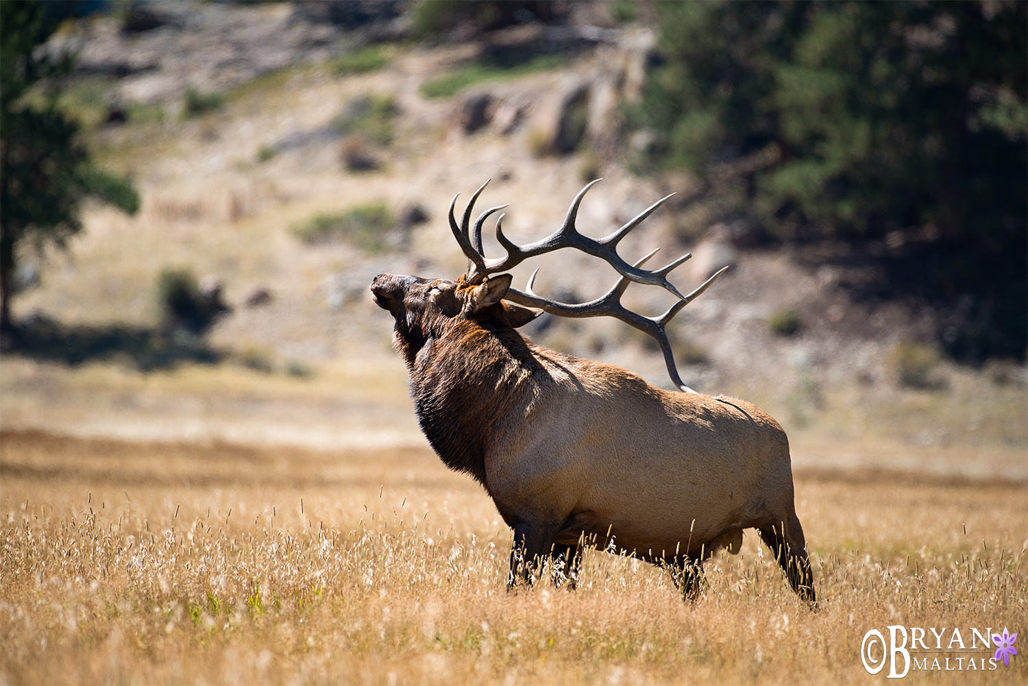 Rocky Mountain National Park Photos, Rocky Mountain Pictures