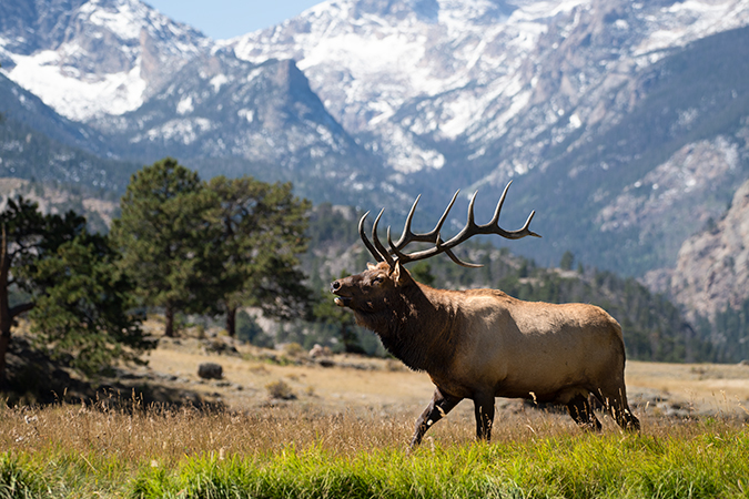 Colorado Photos-Rocky Mountain Landscape Photography By Bryan Maltais