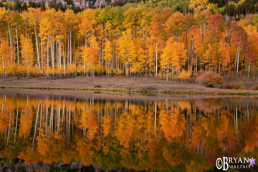 Aspen Fall Colors Reflection Wildernessshots Photography