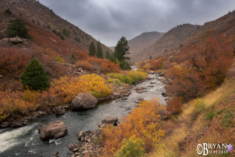 Waterton Canyon Colorado in Fall Colors