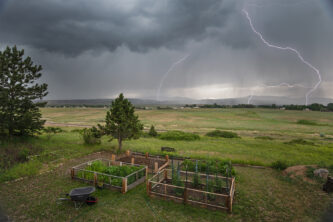 backyard lightning 6-19-20