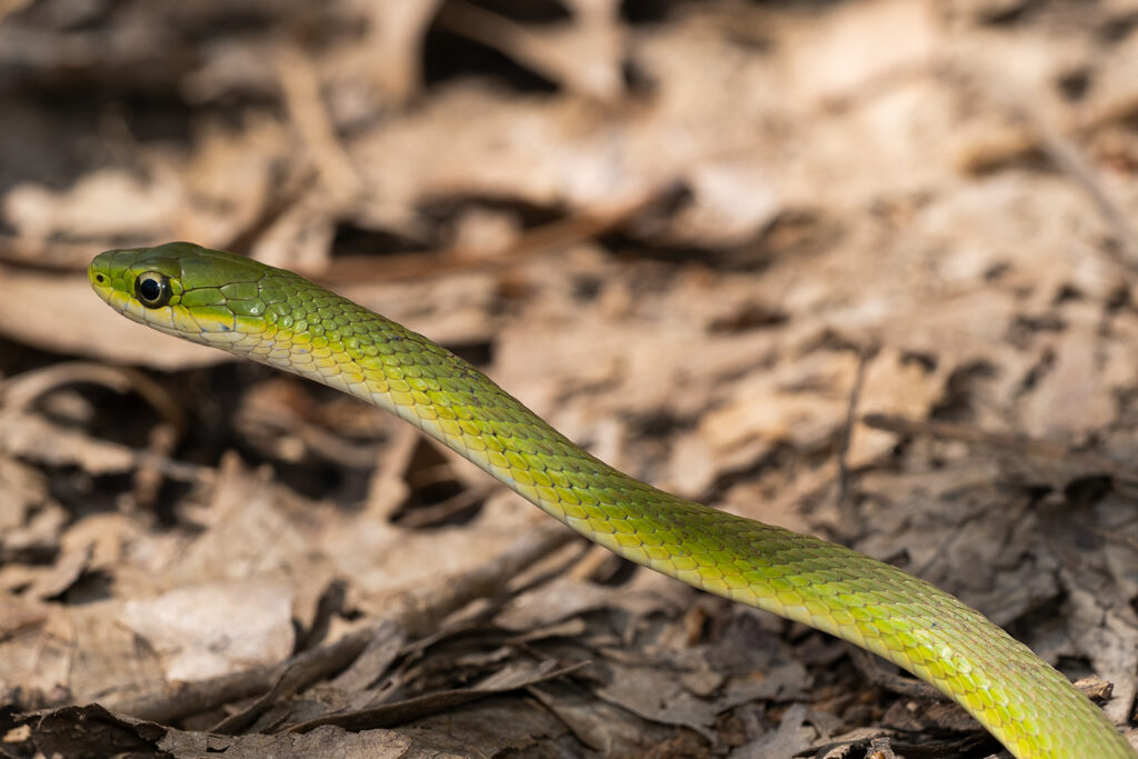 - Wildernessshots Photography