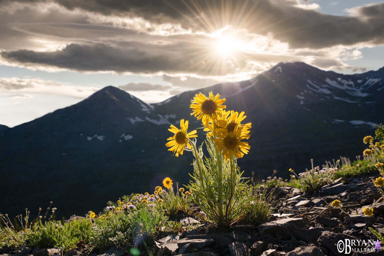 Crested Butte Photography-Landscape Photo Prints From Crested Butte