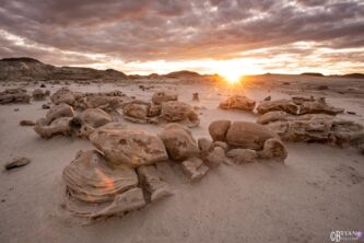 bisti badlands photography workshop