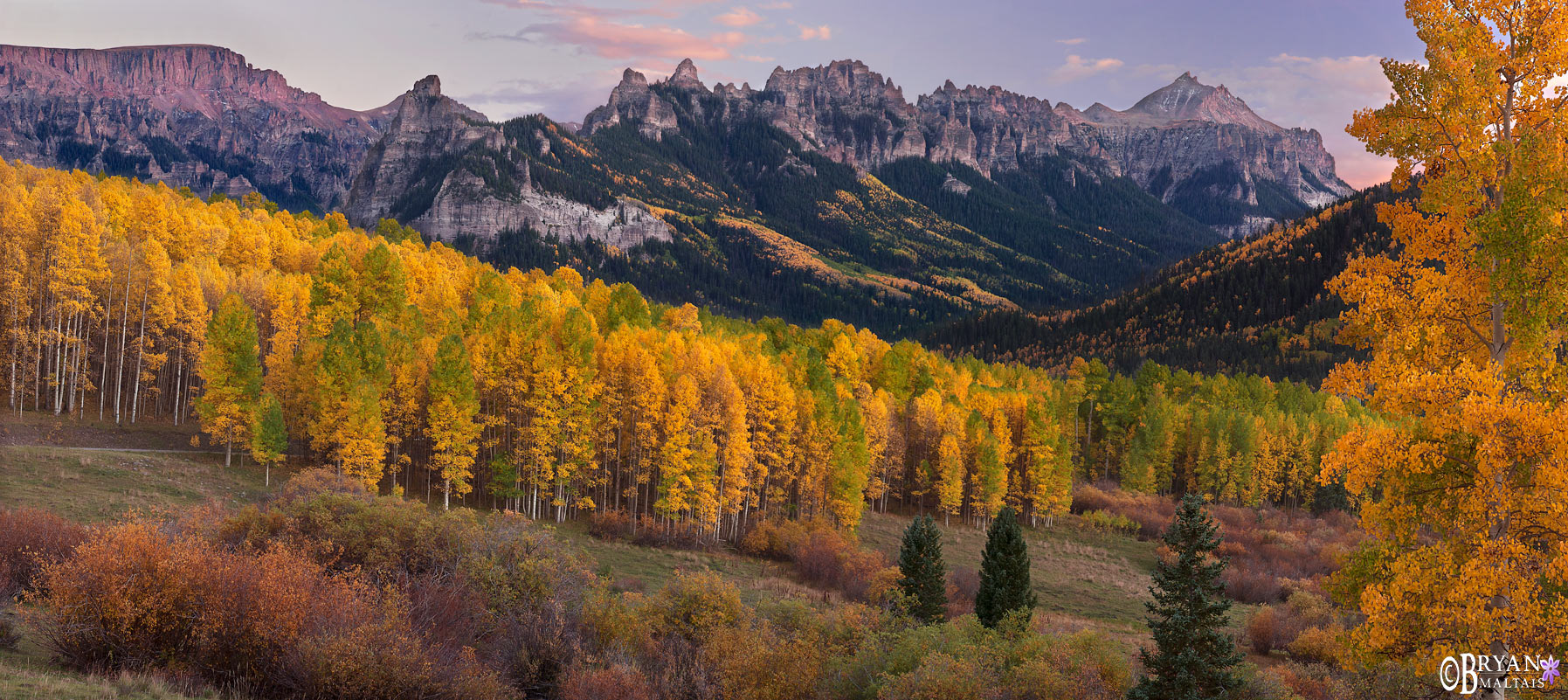 Colorado Fall Colors Photo 2024San Juan Mountains Nature