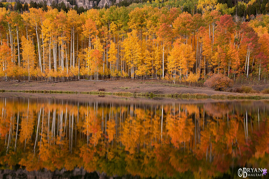 fall colors nature photography workshops