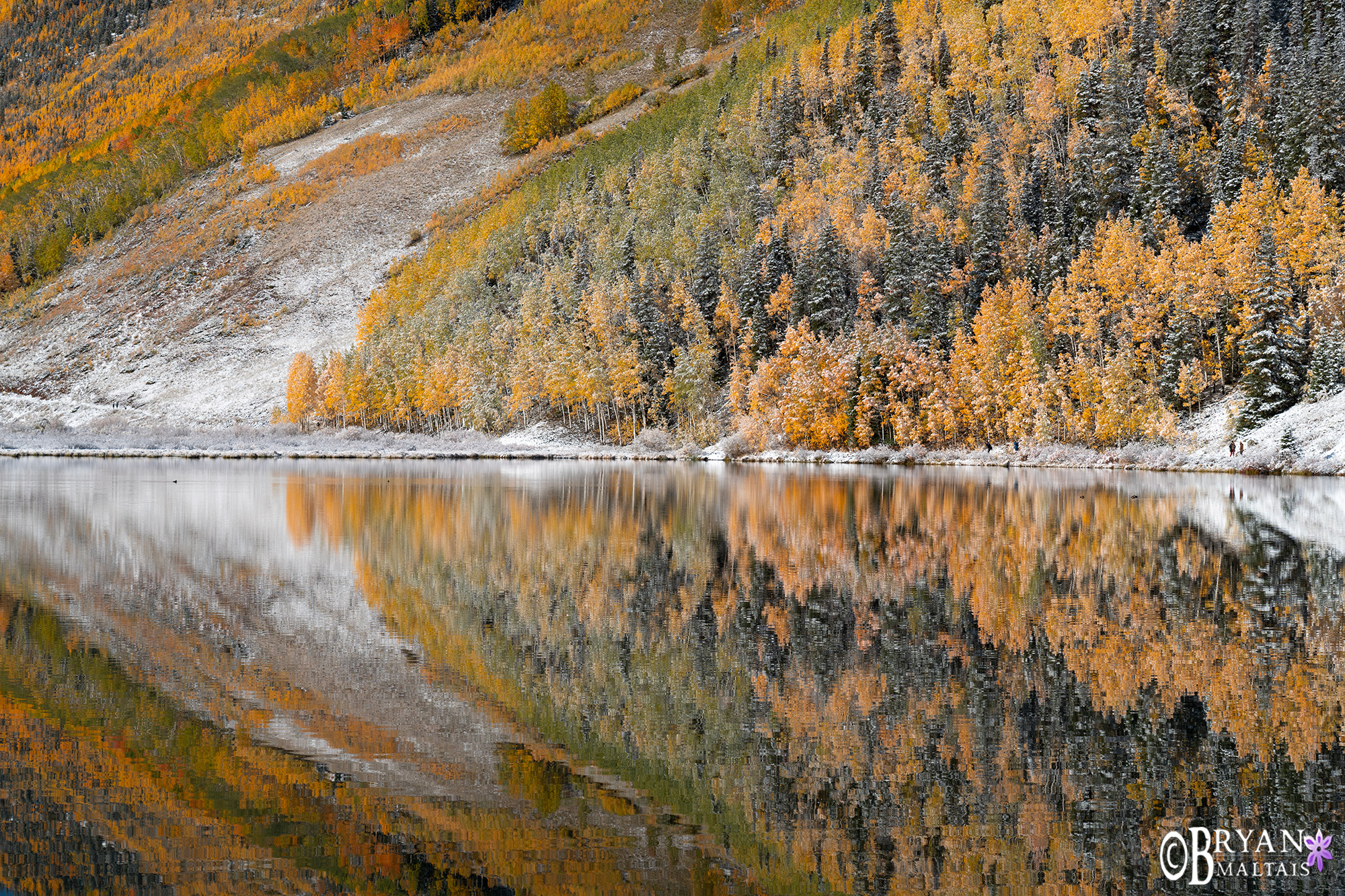 crystal lake fall colors snow aspen reflection ouray