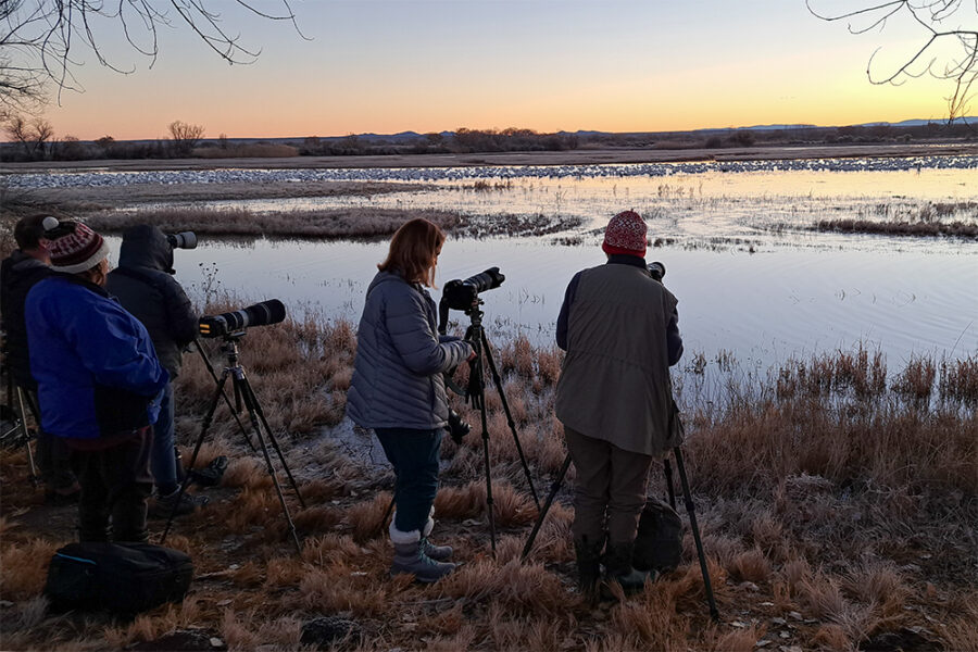 Bosque del Apache Photography Wildernessshots Photography